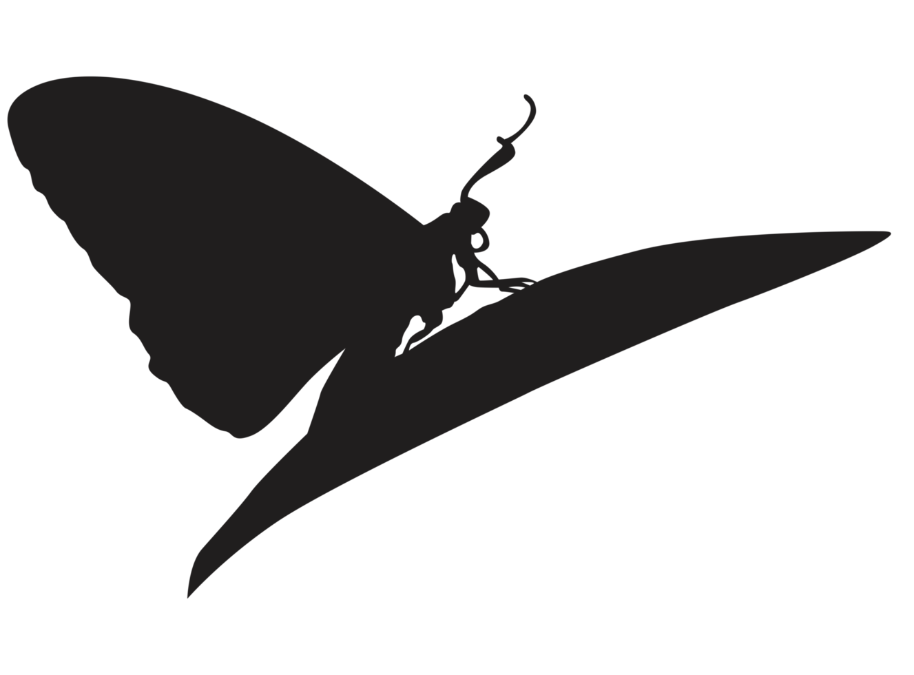 perching farfalla silhouette png