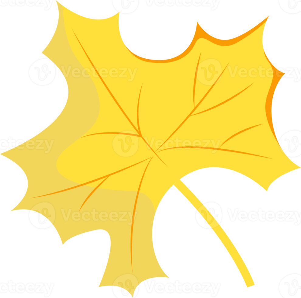 Maple leaf is yellow. png