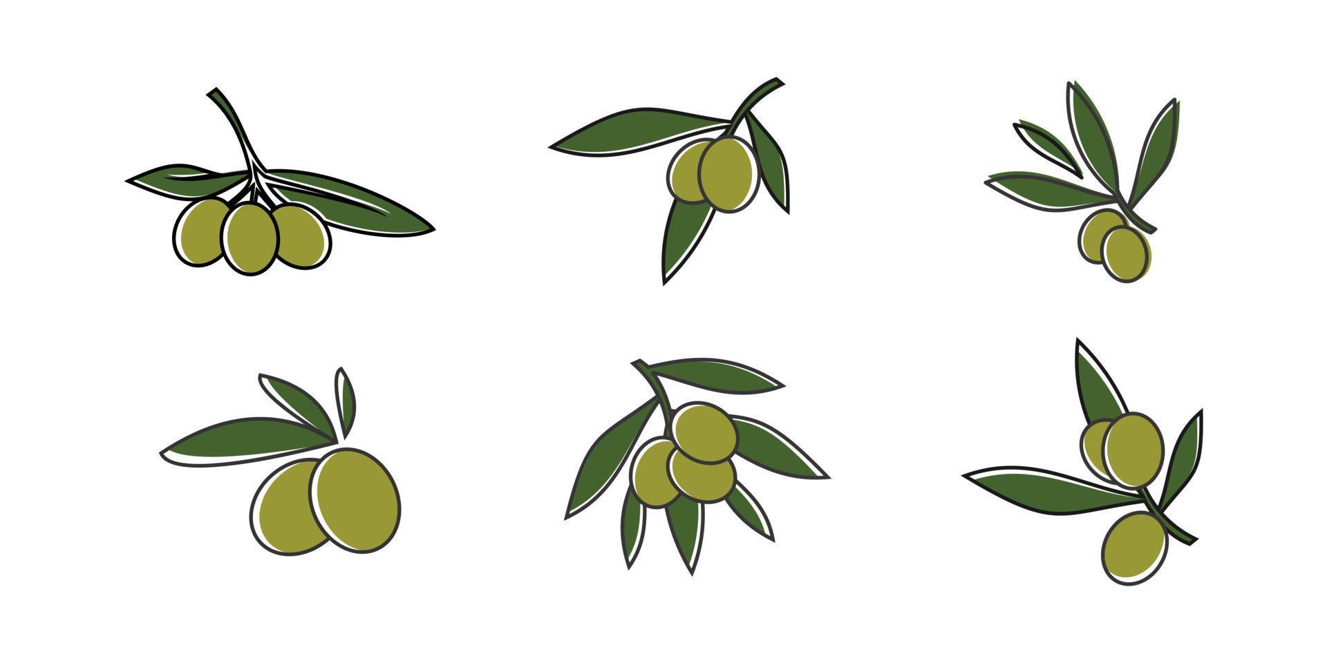 Set of Olive oil vector design concept Premium Vector