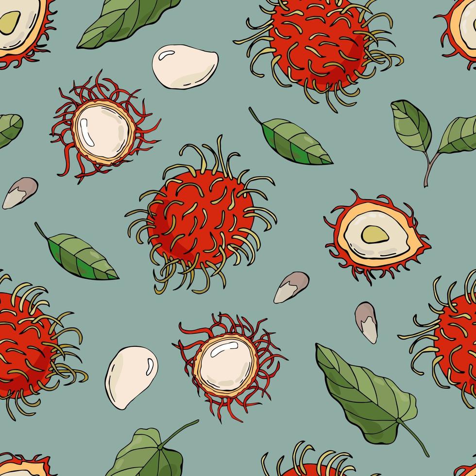 Seamless pattern with rambutans. Design for fabric, textile, wallpaper, packaging vector