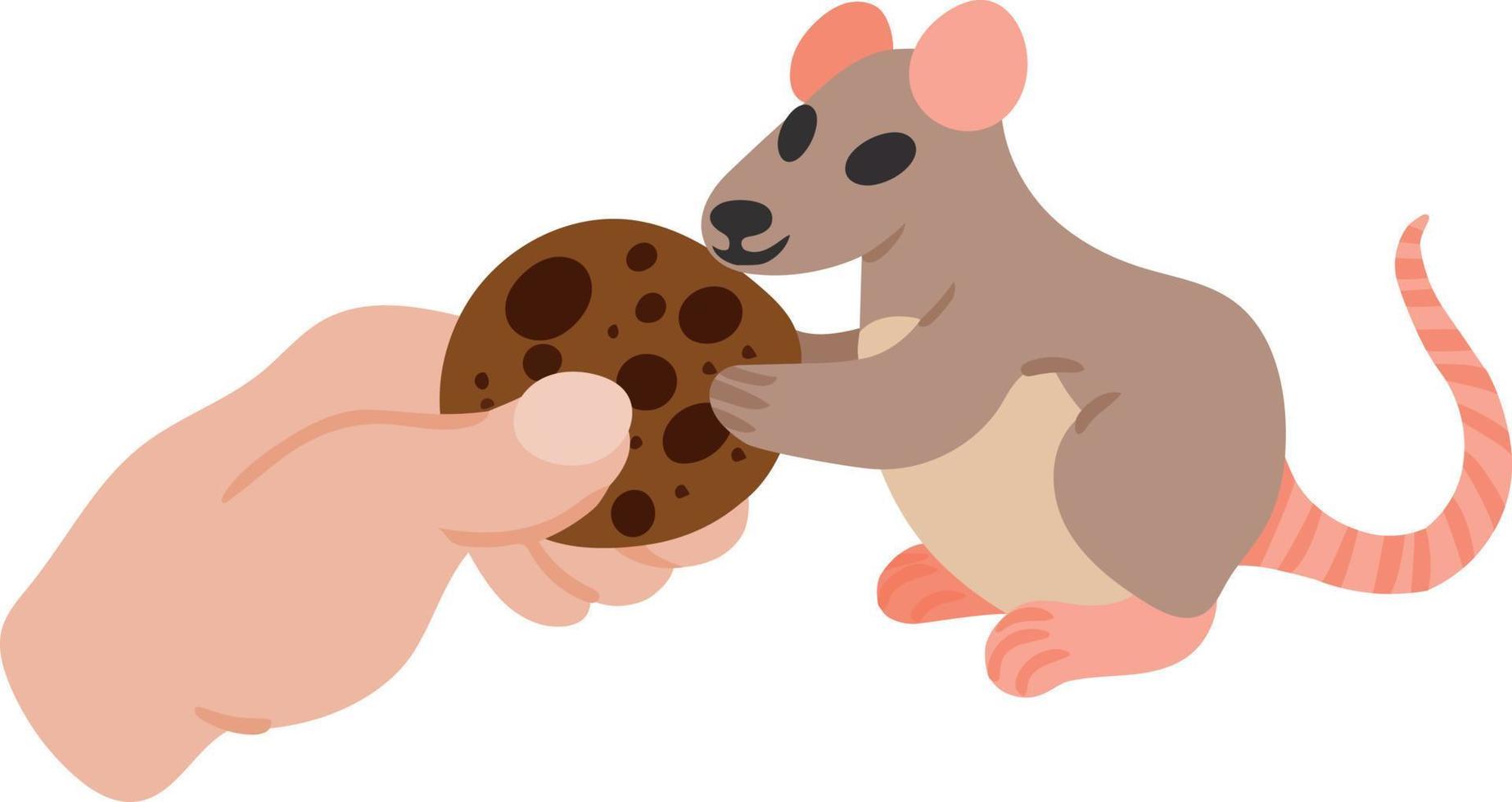 Cute rat takes cookie from person. Concept for design of posters brochures thematic posters. Flat. Vector illustration on white background. Design element
