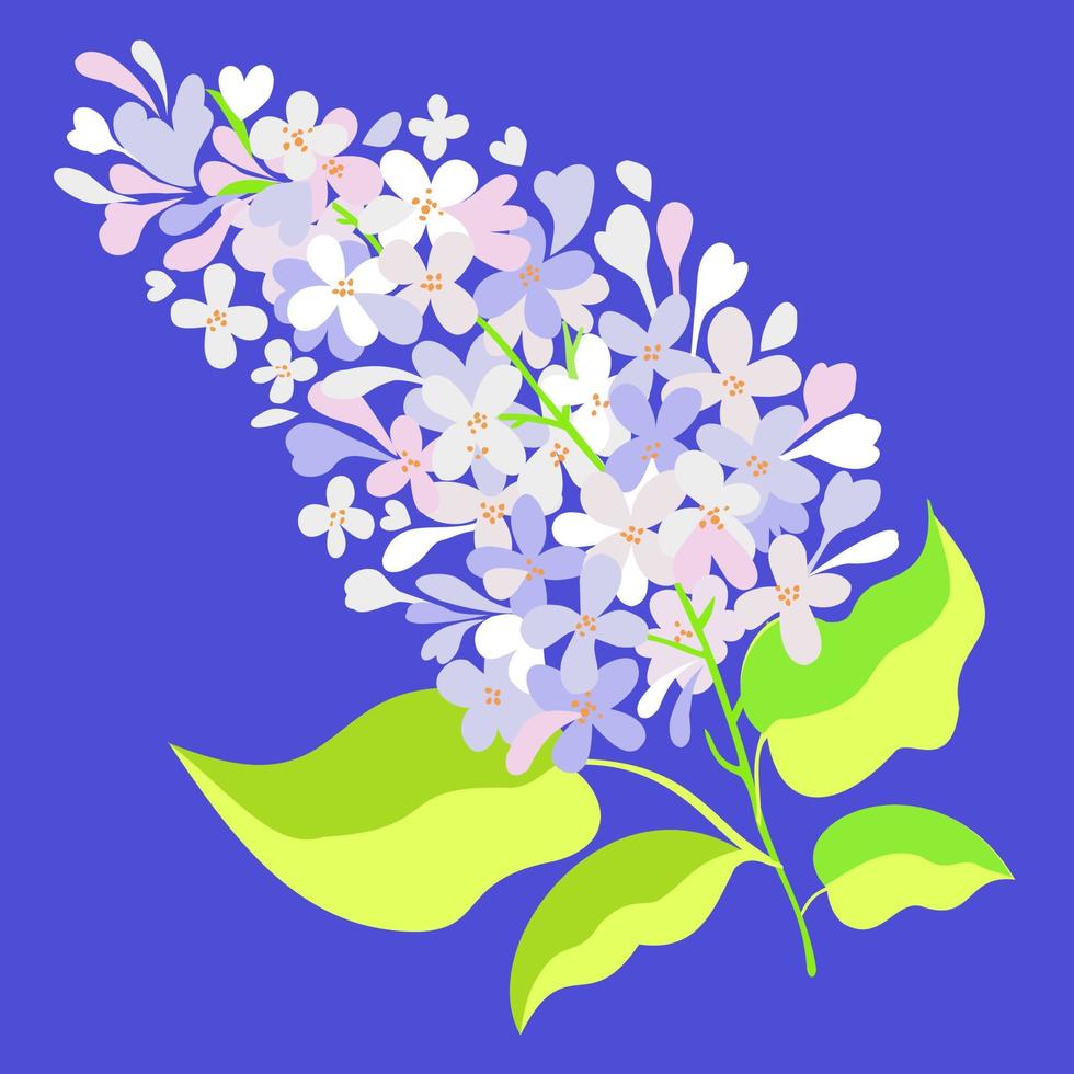 White lilac on bright blue background. vector