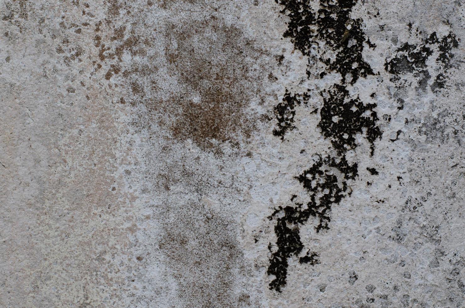 Background photo of black fungus on cement water tank that used to