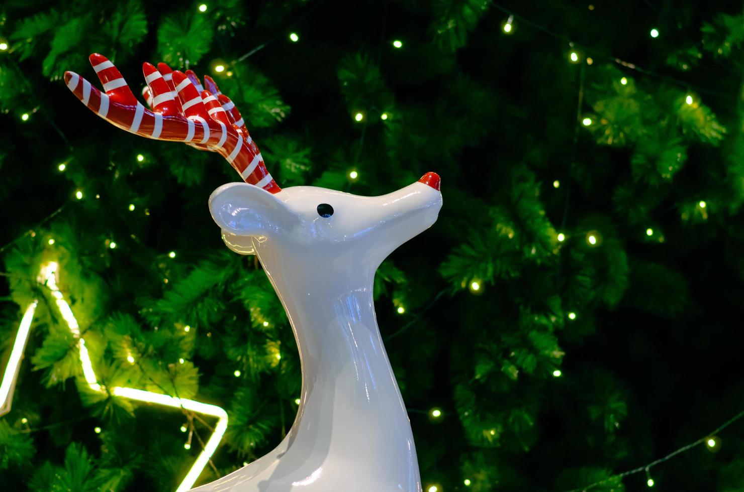 White reindeer with red antler stands in front of Christmas tree decoration with lights. photo