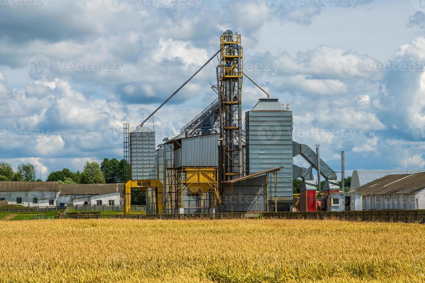 agro silos granary elevator on agro-processing manufacturing plant for processing drying cleaning and storage of agricultural products in rye or wheat field photo