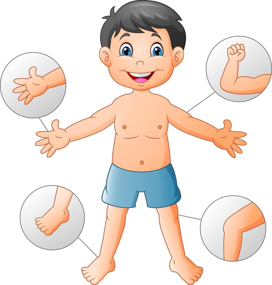 vocabulario de niño de dibujos animados cuerpo humano vector