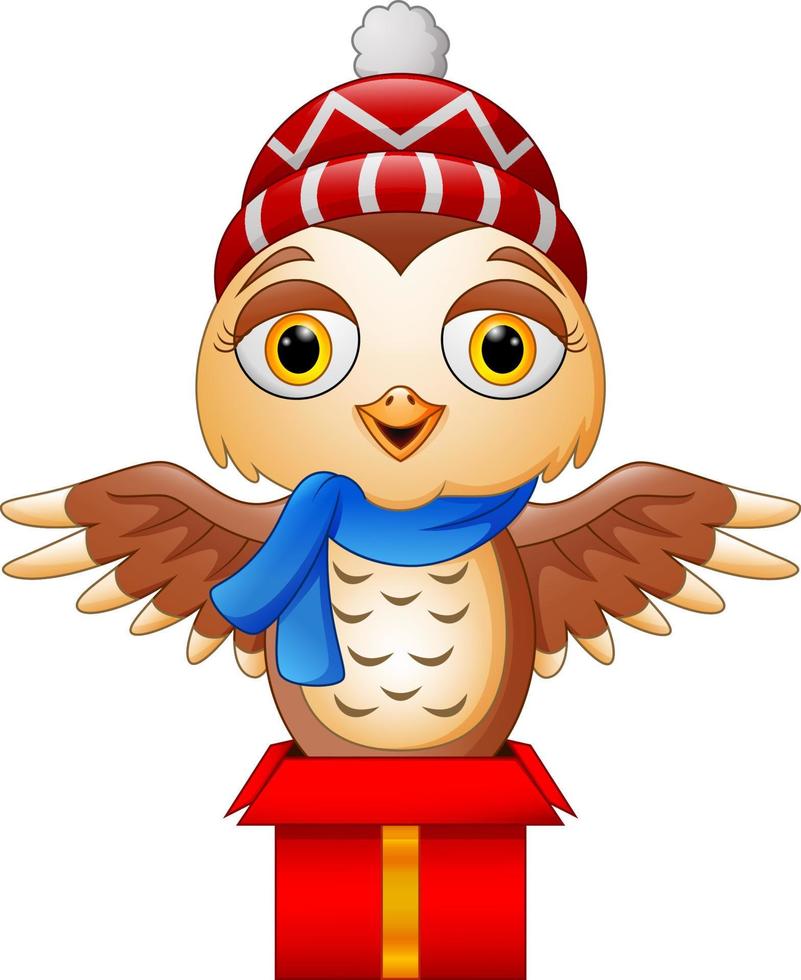 Cute cartoon owl on gift box vector