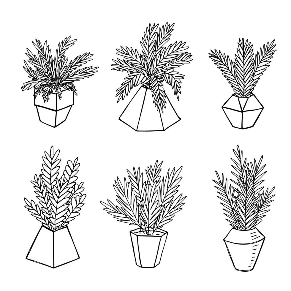 linda planta de interior dibujada a mano en un clipart de maceta. ilustración de la planta acogedor conjunto de garabatos para el hogar vector