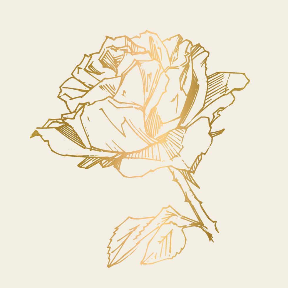 rosa dibujada a mano. ilustración vectorial rosa estilo tatuaje vintage. boceto de motivos florales para el diseño. ilustración de tinta aislada. vector