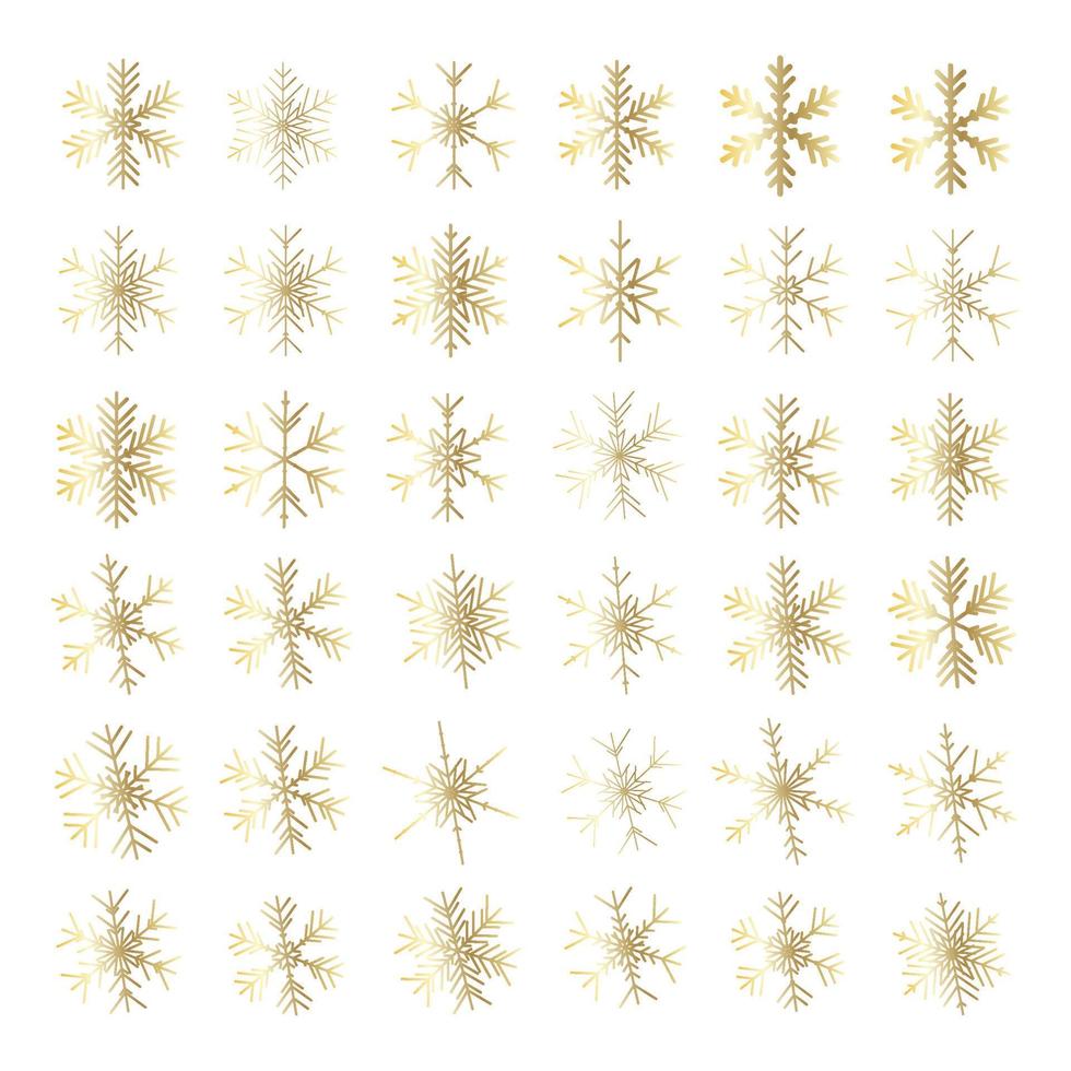 Vector set of different snowflakes