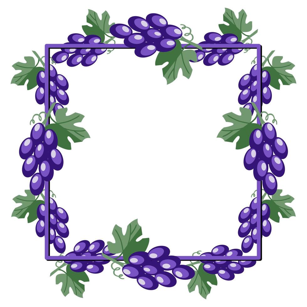 Square frame, bright purple juicy berries grapes with leaves, copy space, vector illustration in cartoon style on a white background