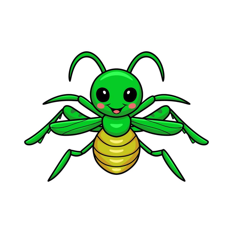 Cute little mantis cartoon posing vector