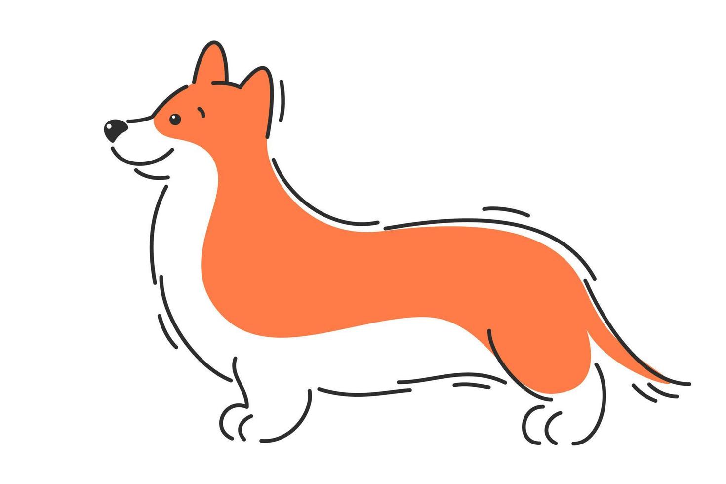 perro corgi ilustración vectorial de dibujos animados vector