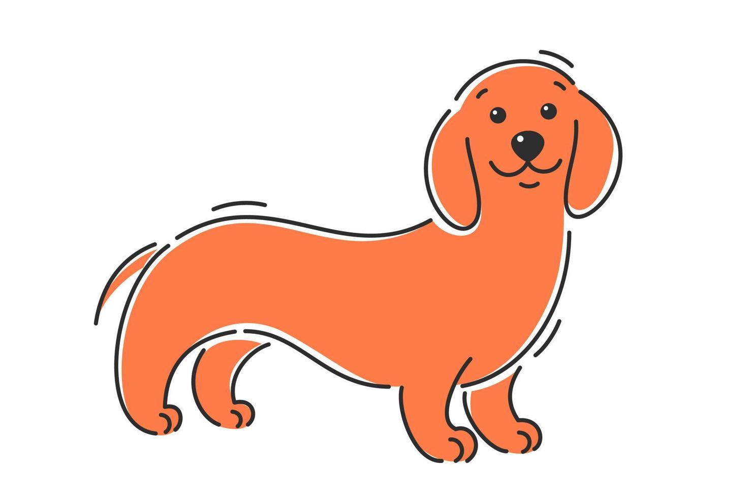 Dachshund dog. Cartoon vector illustration