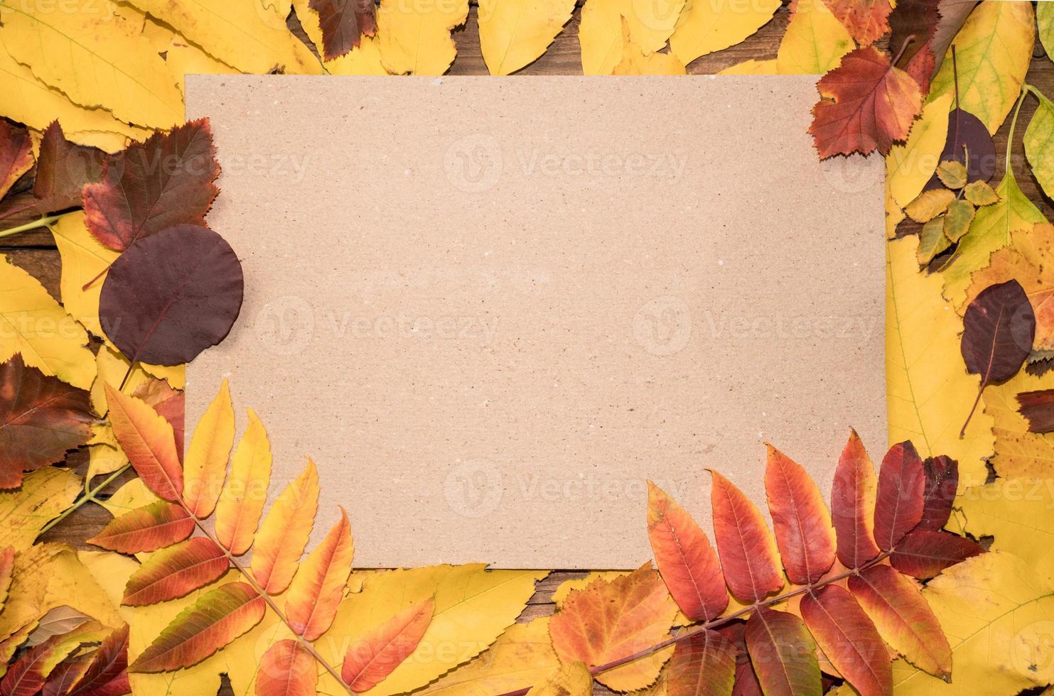 Hello October. Autumn composition top view on autumn bright colorful leaves with paper sheet and place for text. photo