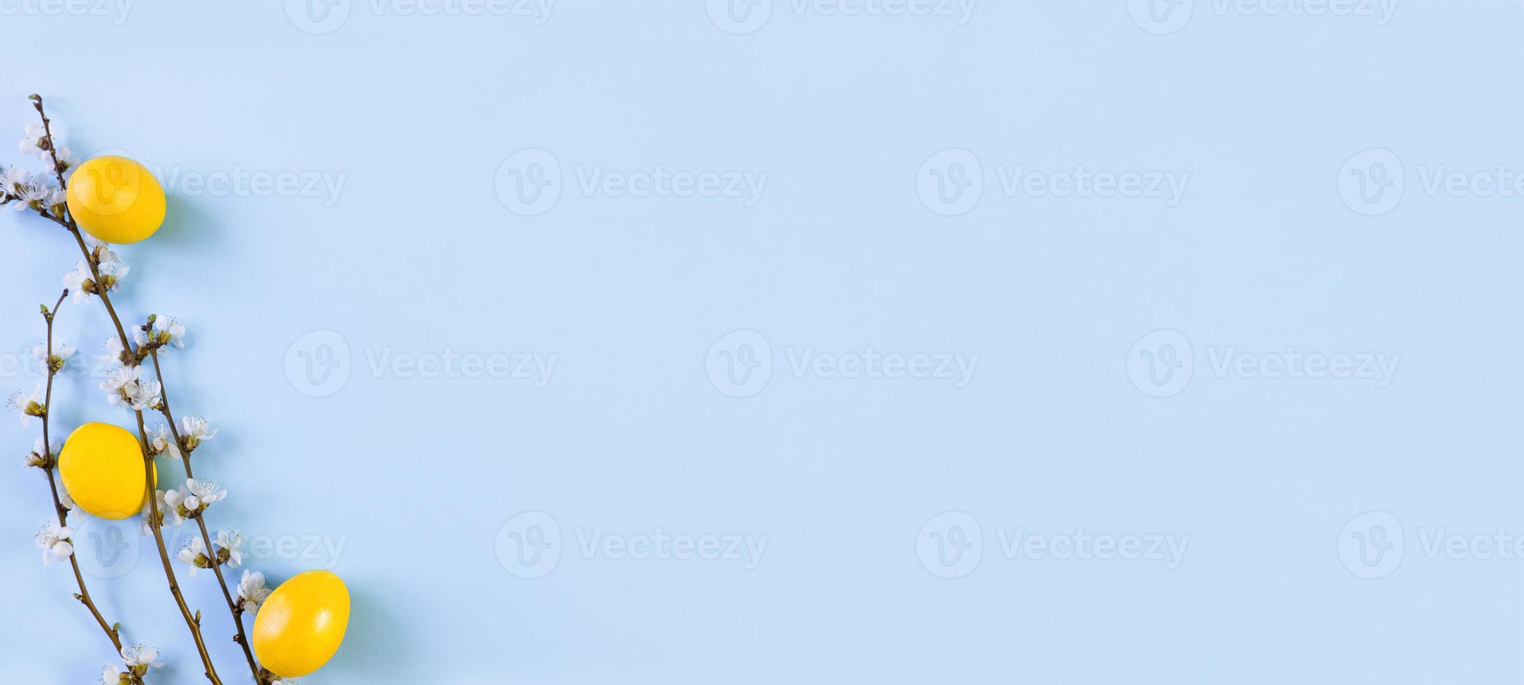 Banner of colorful Easter eggs with spring flowering flowers, on a blue background. Holiday border of colored eggs. Space for text. photo
