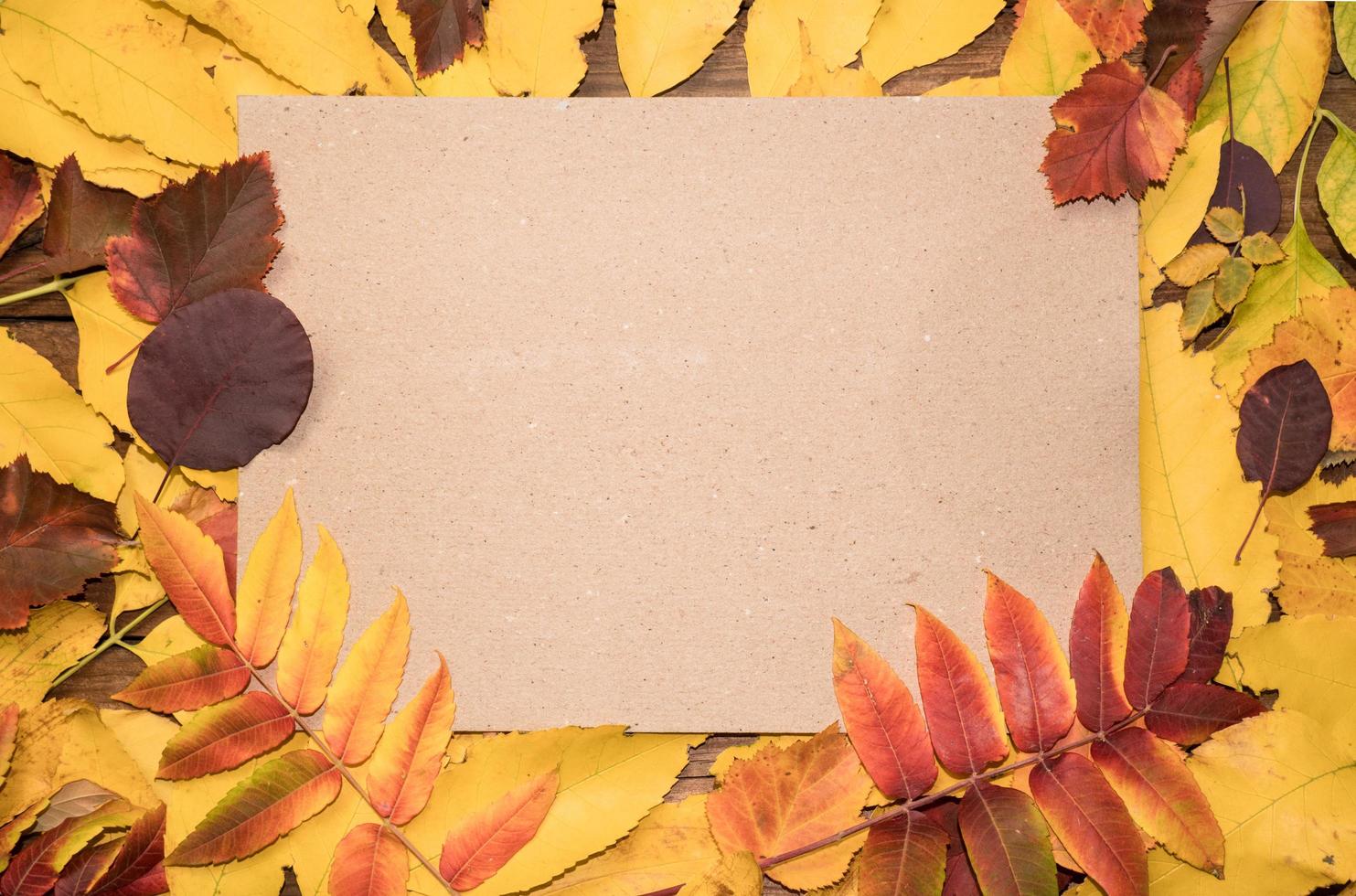 Hello October. Autumn composition top view on autumn bright colorful leaves with paper sheet and place for text. photo