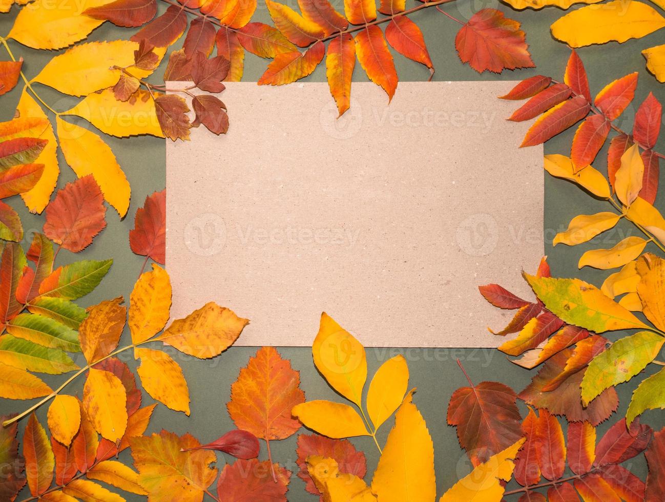 Autumn leaves with pine cones and berries and a sheet of parchment paper on a dark gray background from above. With space for text. Minimal Thanksgiving and Halloween Seasonal Design Art. Flat lay. photo