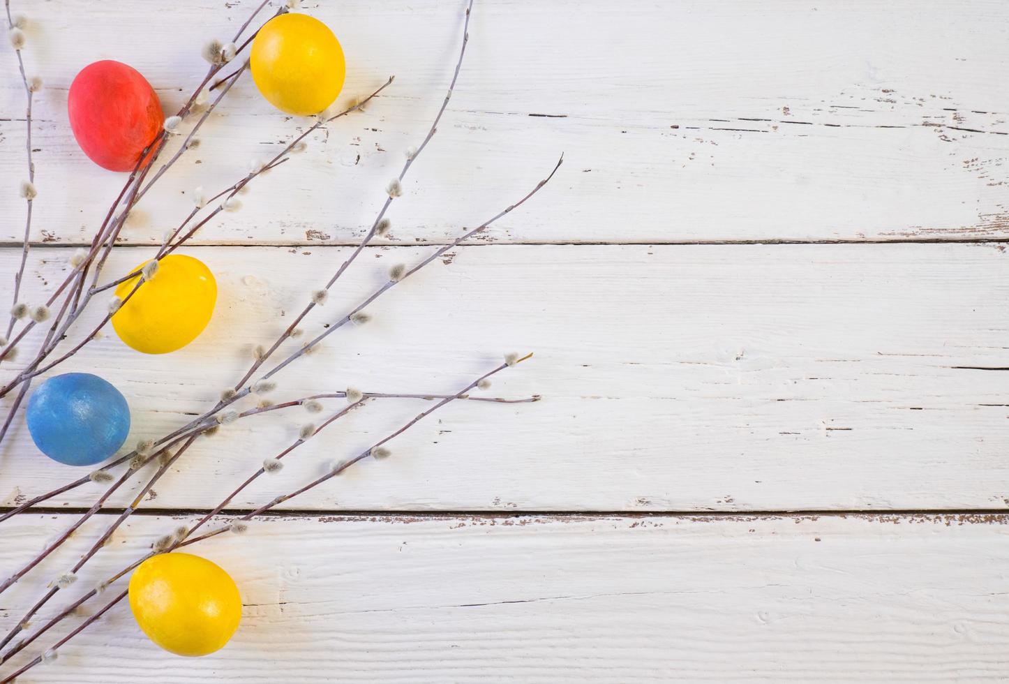 Top view of easter eggs and willow twigs on a white wooden board in rustic style. Place for text. photo