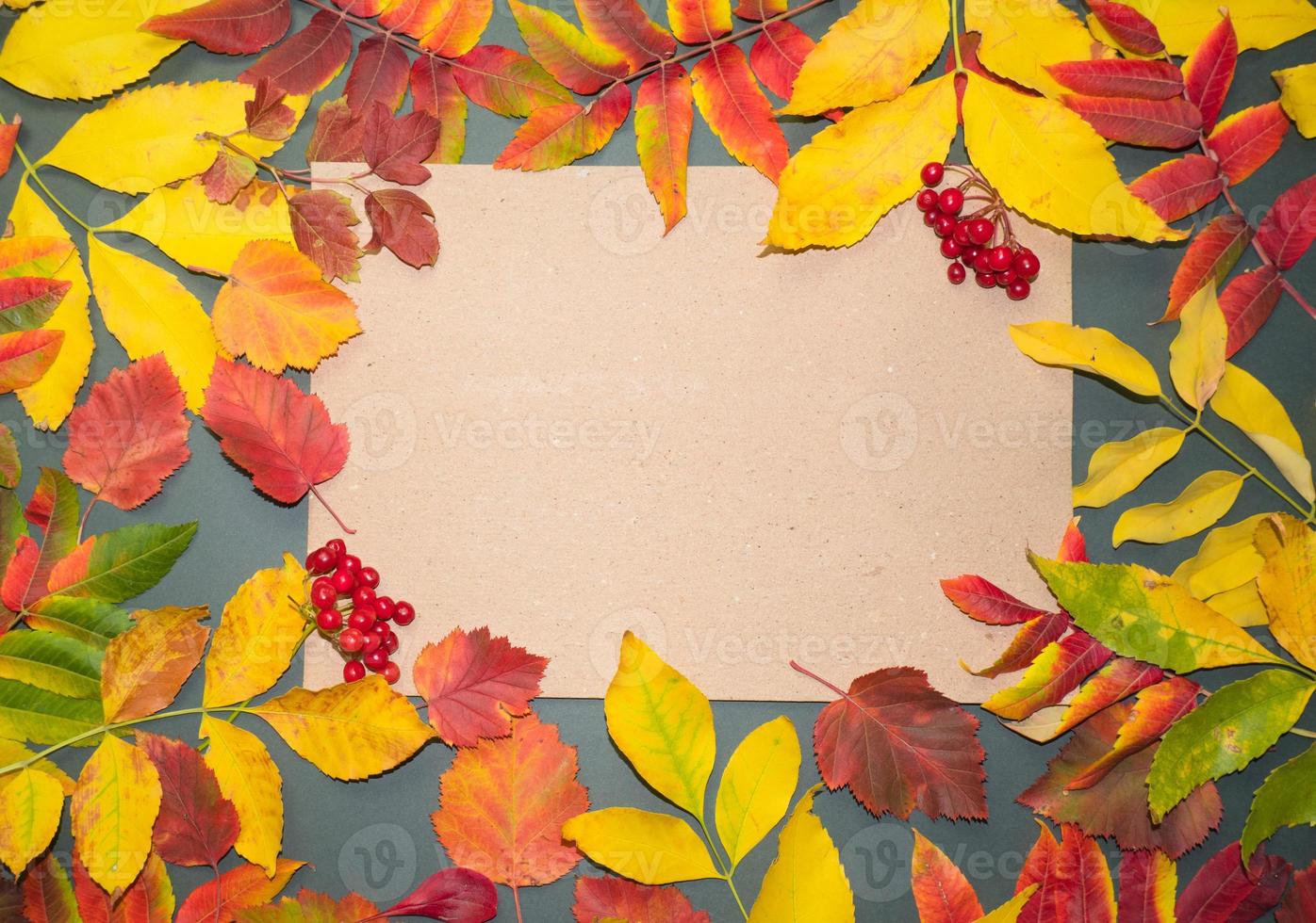 Autumn leaves with pine cones and berries and a sheet of parchment paper on a dark gray background from above. With space for text. Minimal Thanksgiving and Halloween Seasonal Design Art. Flat lay. photo