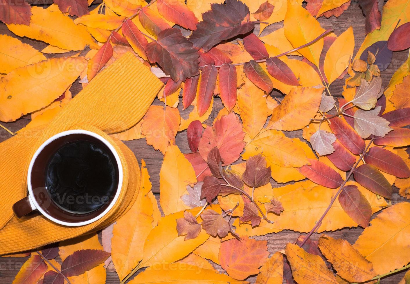 otoño, hojas de otoño, una taza de café humeante y una bufanda cálida sobre un fondo de hojas brillantes. estacional, café matutino, relajación dominical y concepto de naturaleza muerta. foto