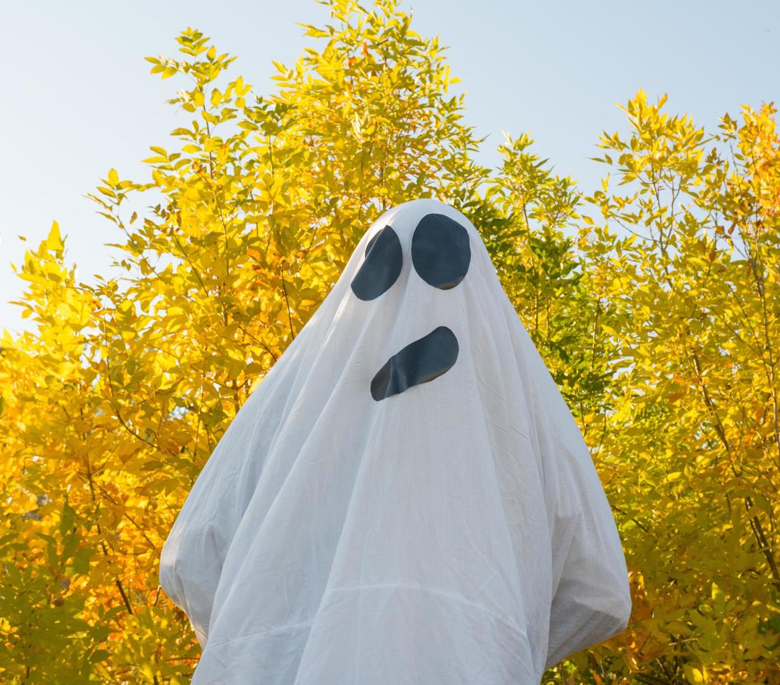 Halloween ghost, dancing in the autumn yellow forest, waving his hands. A merry ghost in a white sheet. photo