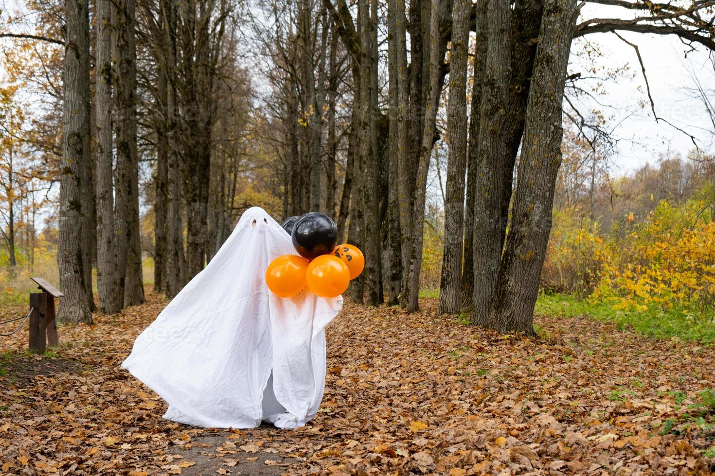 A child in sheets with cutout for eyes like a ghost costume in an autumn forest scares and terrifies. A kind little funny ghost. Halloween Party photo