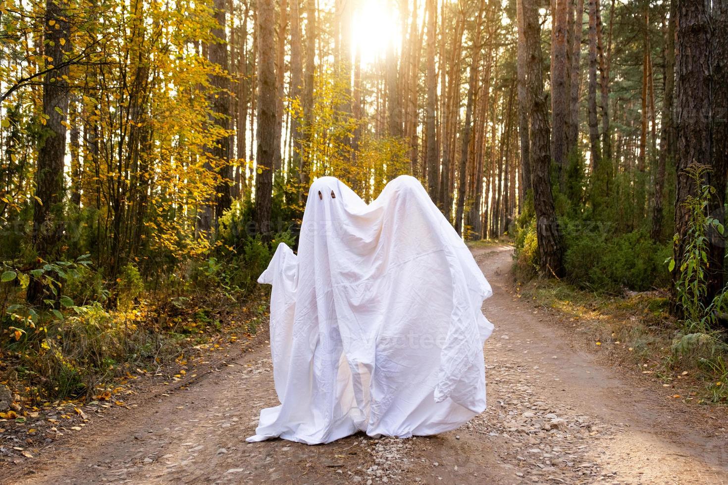 A child in sheets with cutout for eyes like a ghost costume in an autumn forest scares and terrifies. A kind little funny ghost. Halloween Party photo