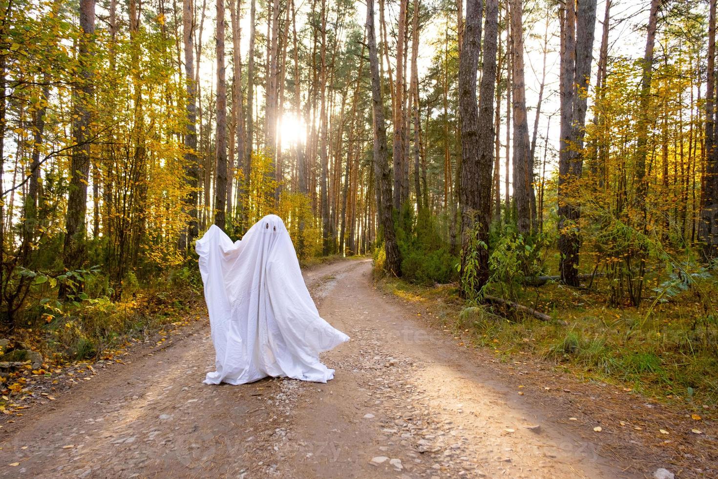 A child in sheets with cutout for eyes like a ghost costume in an autumn forest scares and terrifies. A kind little funny ghost. Halloween Party photo