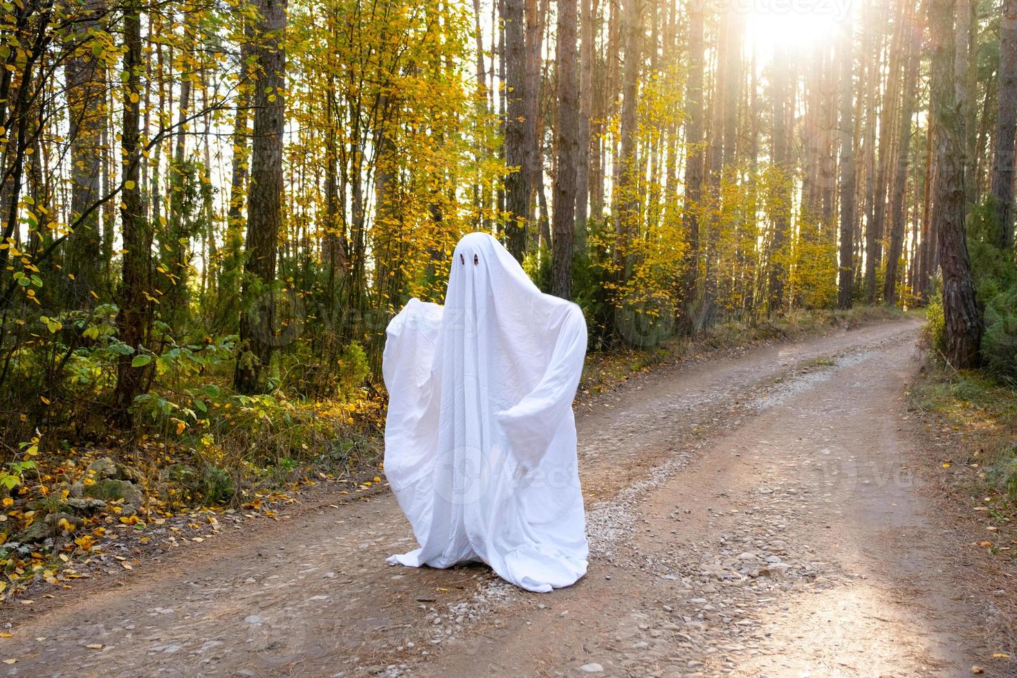 A child in sheets with cutout for eyes like a ghost costume in an autumn forest scares and terrifies. A kind little funny ghost. Halloween Party photo