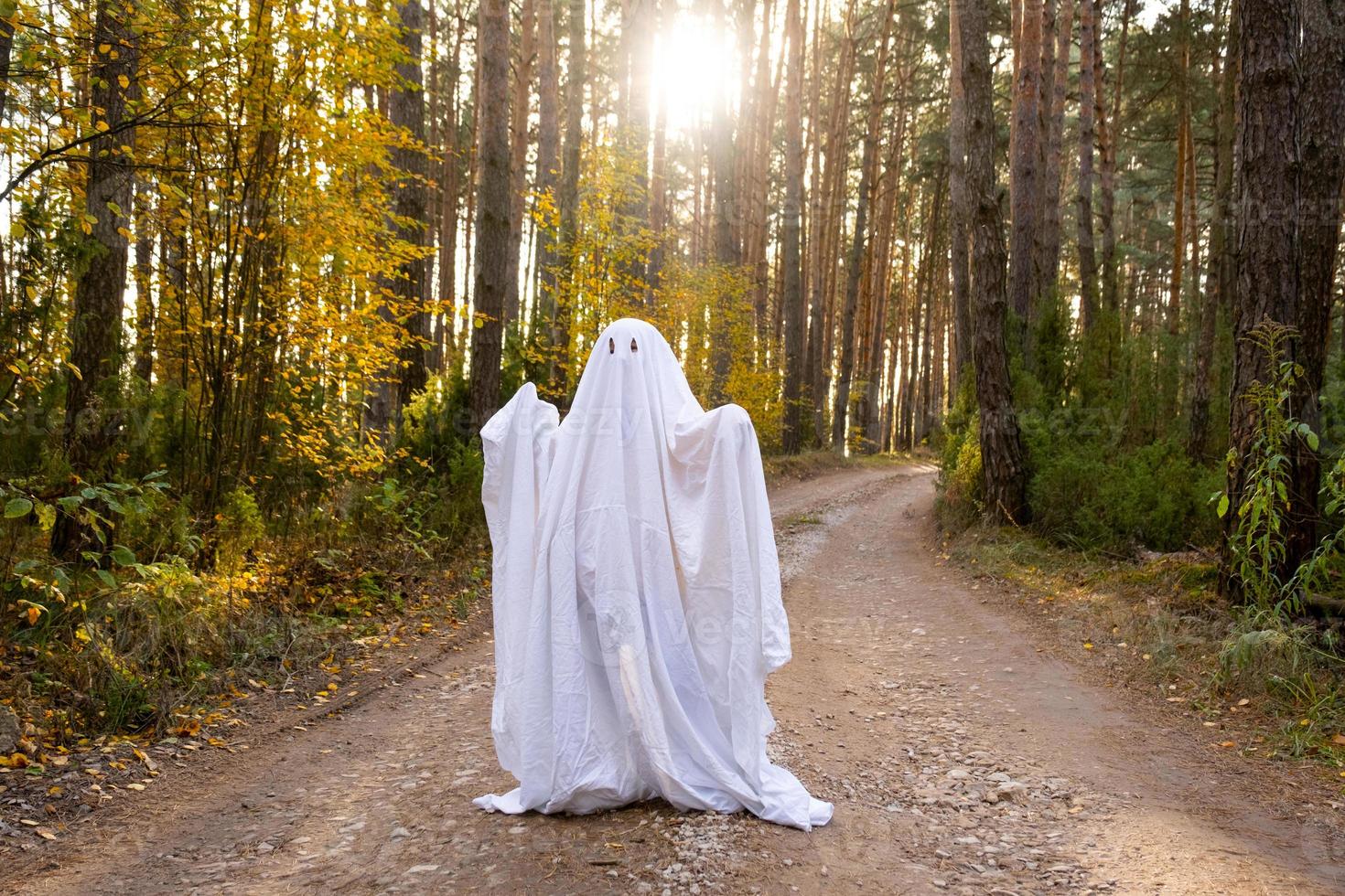 A child in sheets with cutout for eyes like a ghost costume in an autumn forest scares and terrifies. A kind little funny ghost. Halloween Party photo