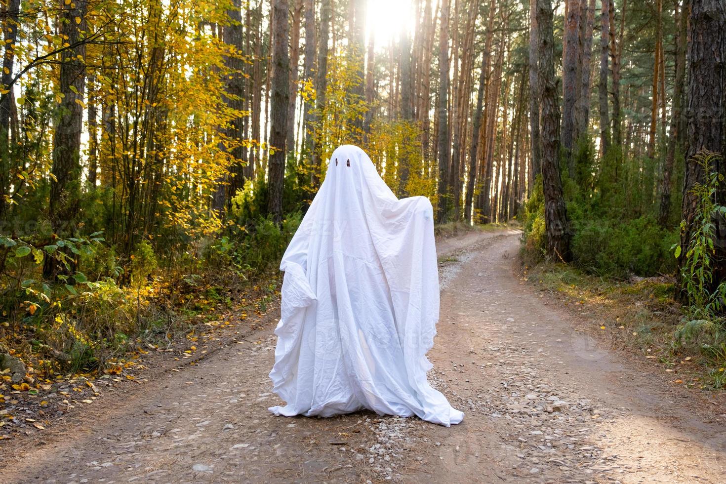 A child in sheets with cutout for eyes like a ghost costume in an autumn forest scares and terrifies. A kind little funny ghost. Halloween Party photo