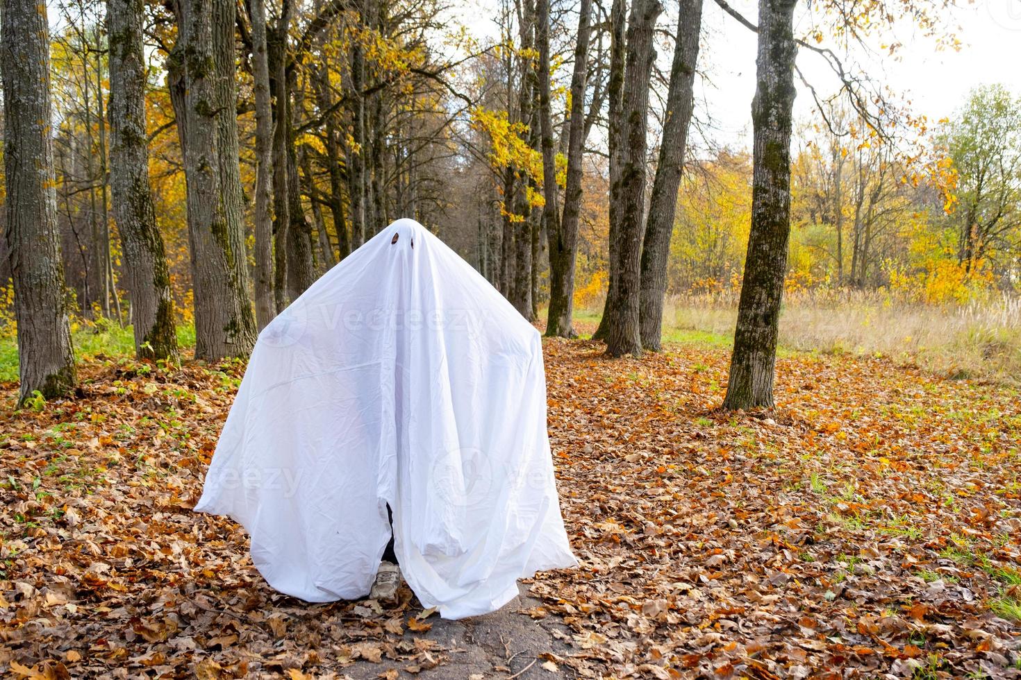 A child in sheets with cutout for eyes like a ghost costume in an autumn forest scares and terrifies. A kind little funny ghost. Halloween Party photo