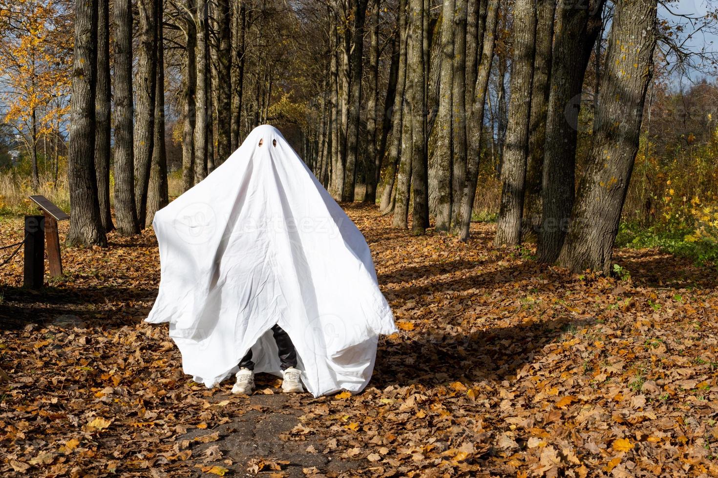 A child in sheets with cutout for eyes like a ghost costume in an autumn forest scares and terrifies. A kind little funny ghost. Halloween Party photo