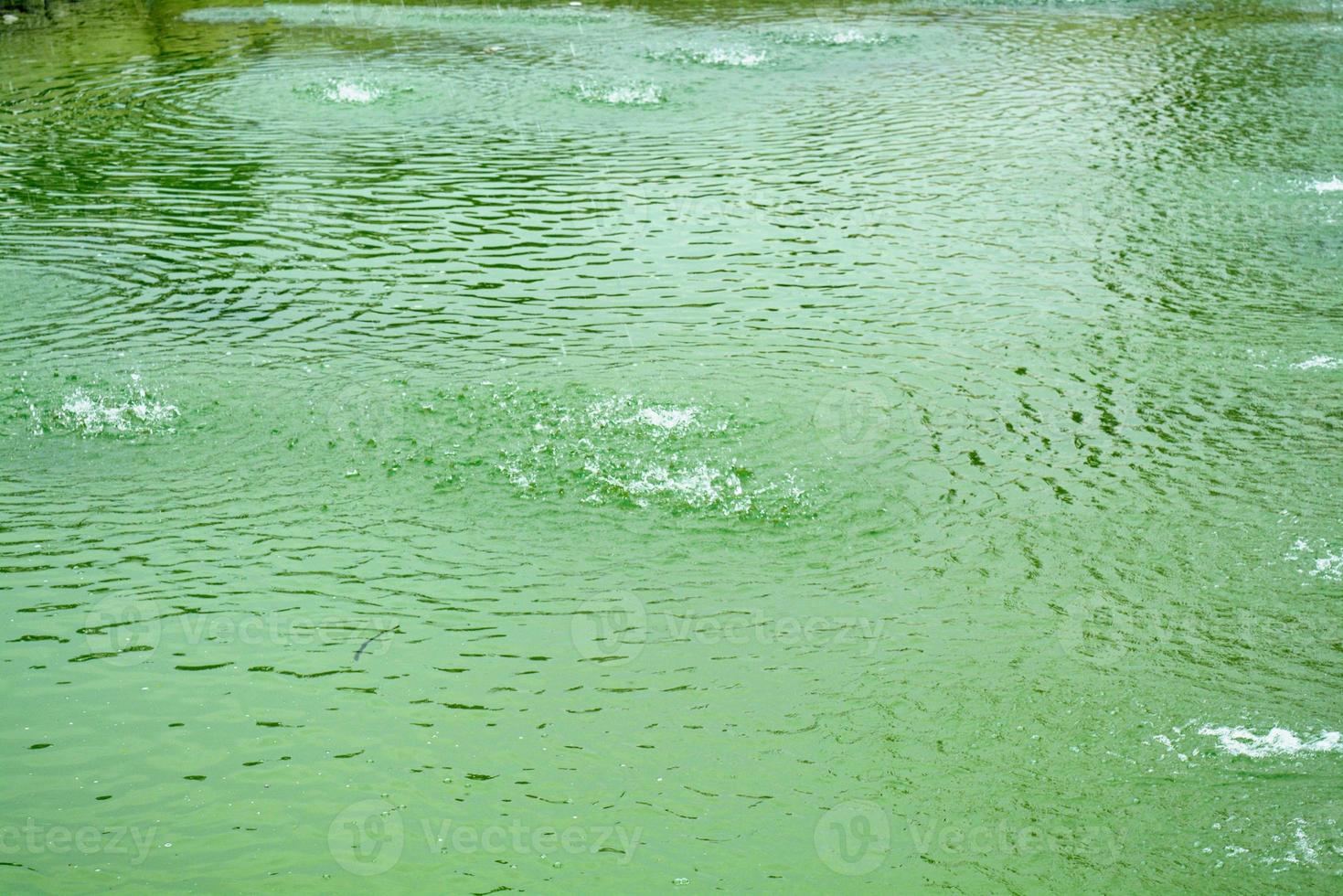 lago de la fuente de agua en el jardín pinjore foto