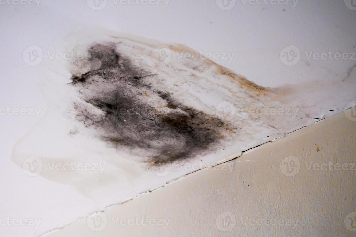 Water damaged ceiling roof, brown stain, office building photo