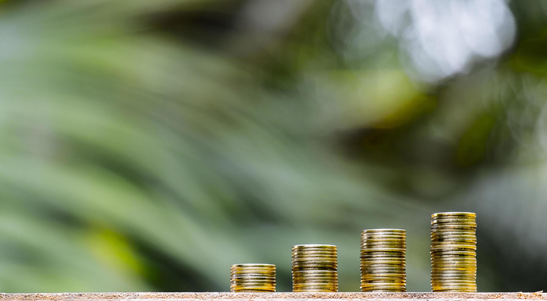 Business Finance and Money concept, Money coin stack growing graph with green tree bokeh background,investment concept photo