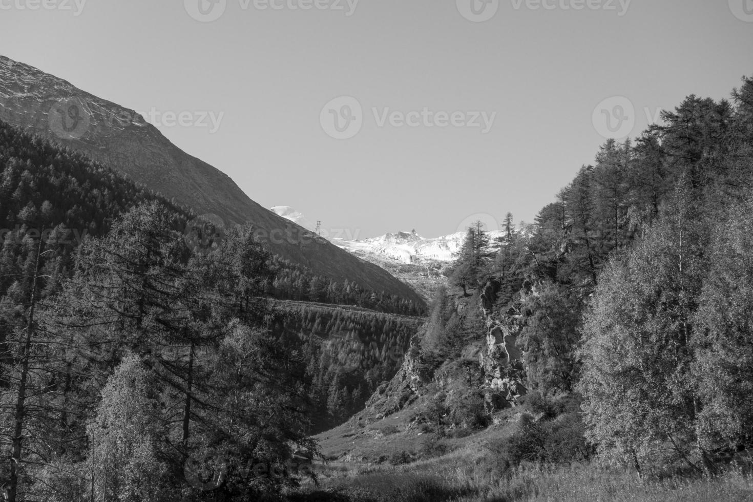 los alpes suizos foto