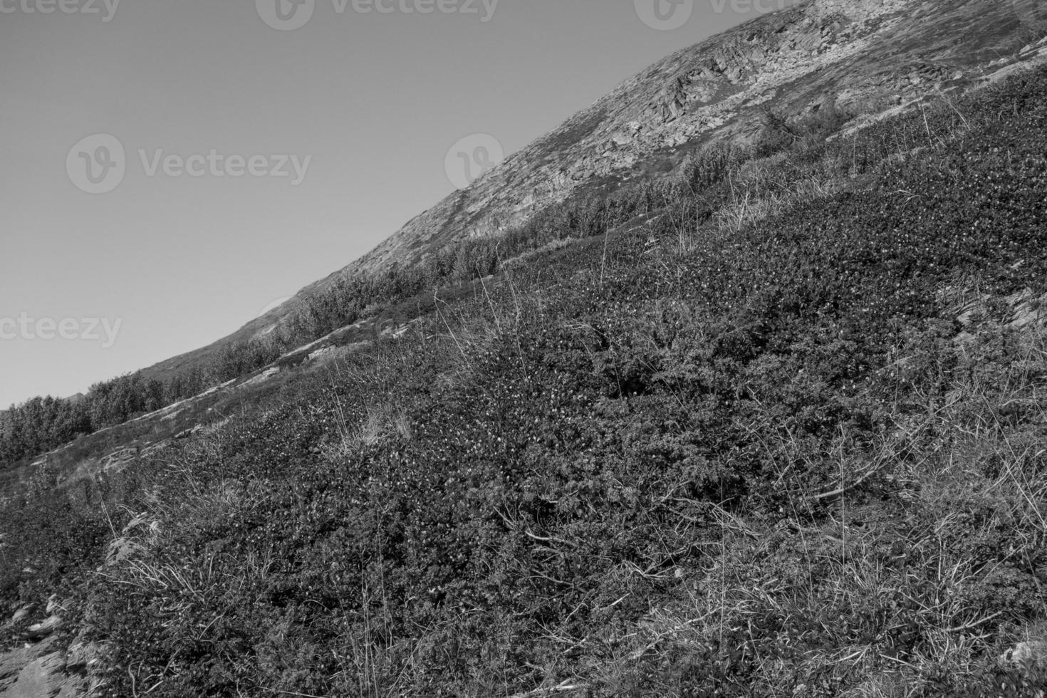 los alpes suizos foto