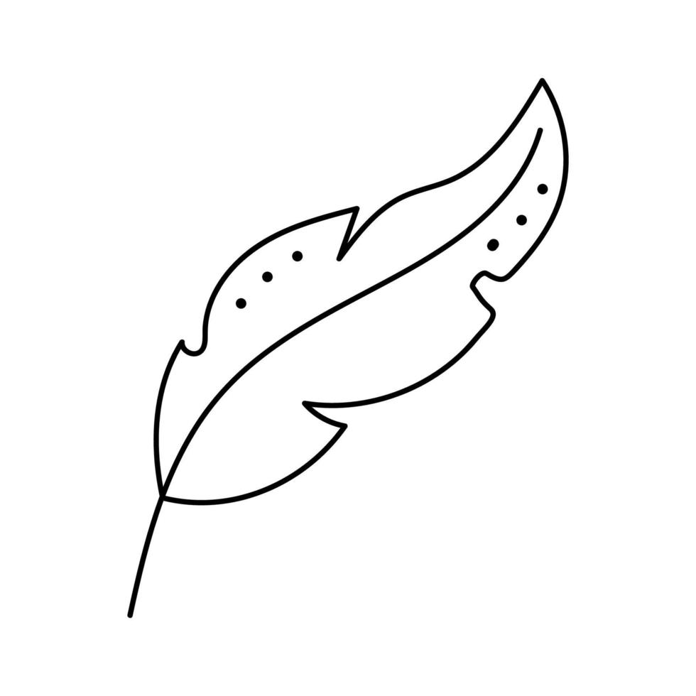 Hand drawn vector feather illustration.