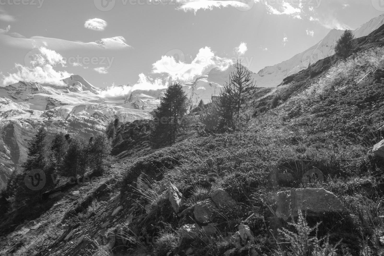 senderismo en los alpes suizos foto