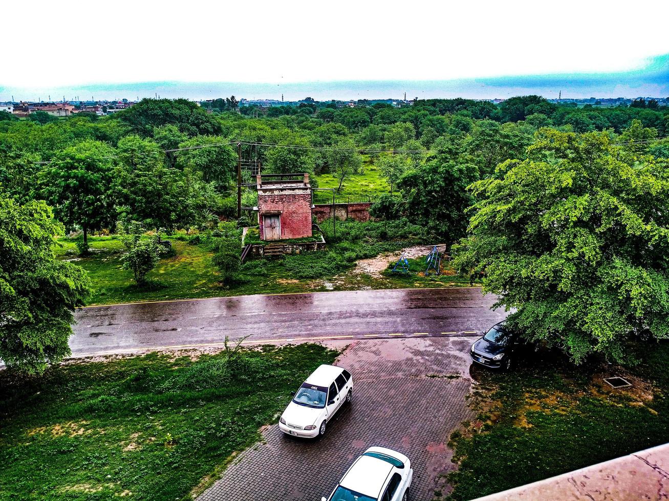 Cars on Road Green with Trees photo