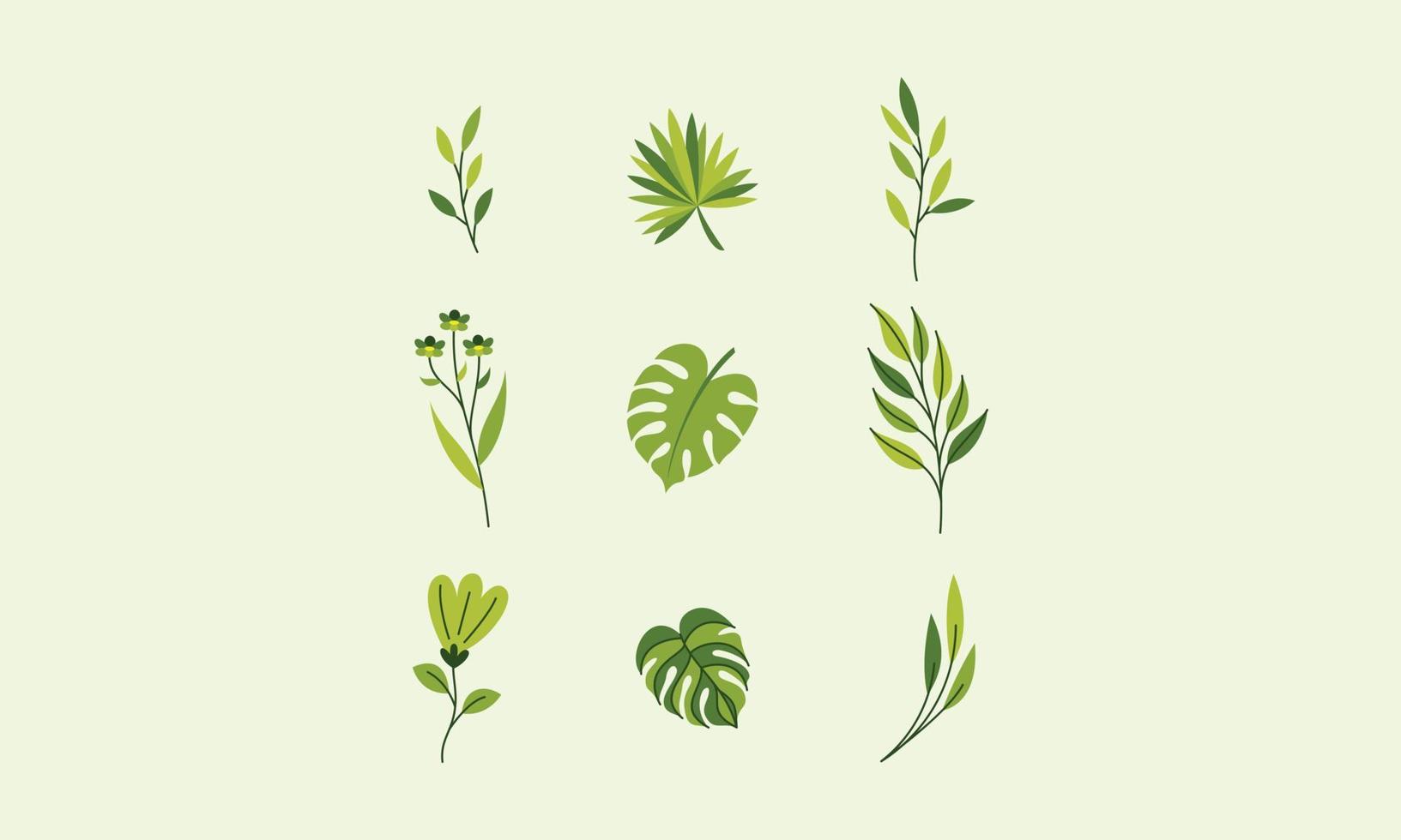 Cute nature flowers and leaves vector. Small colorful flowers vector