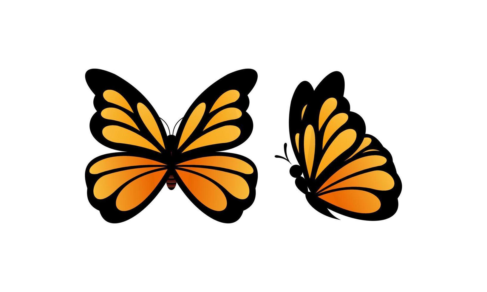 Beautiful color butterfly logo vector art illustration