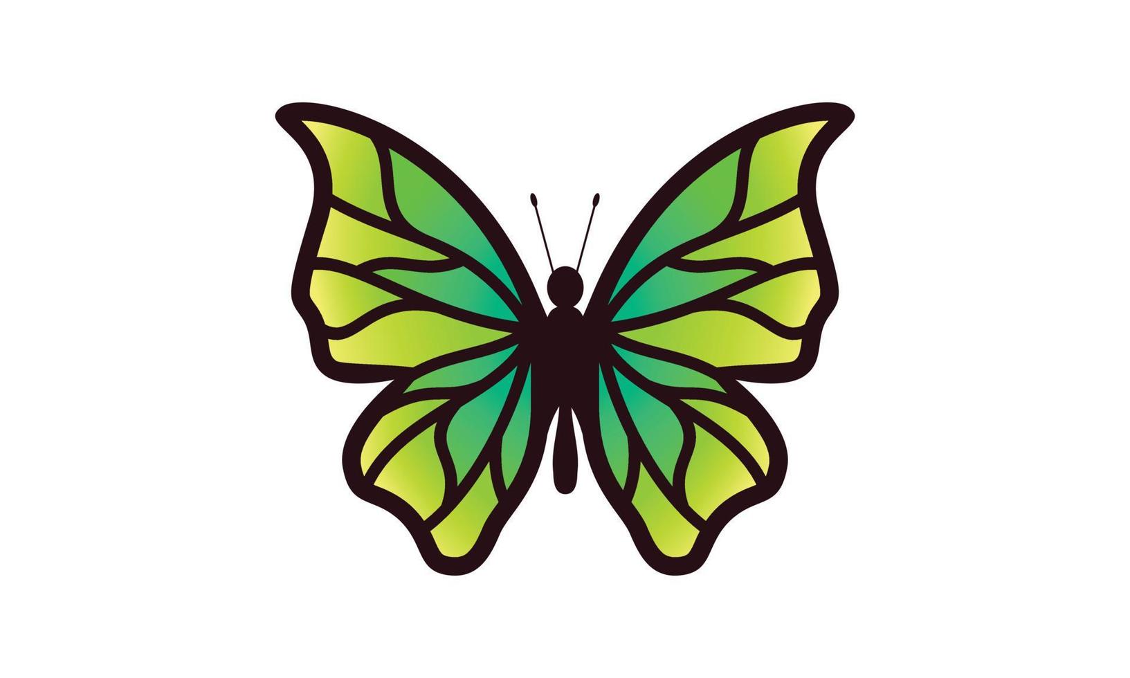 Beautiful color butterfly logo vector art illustration
