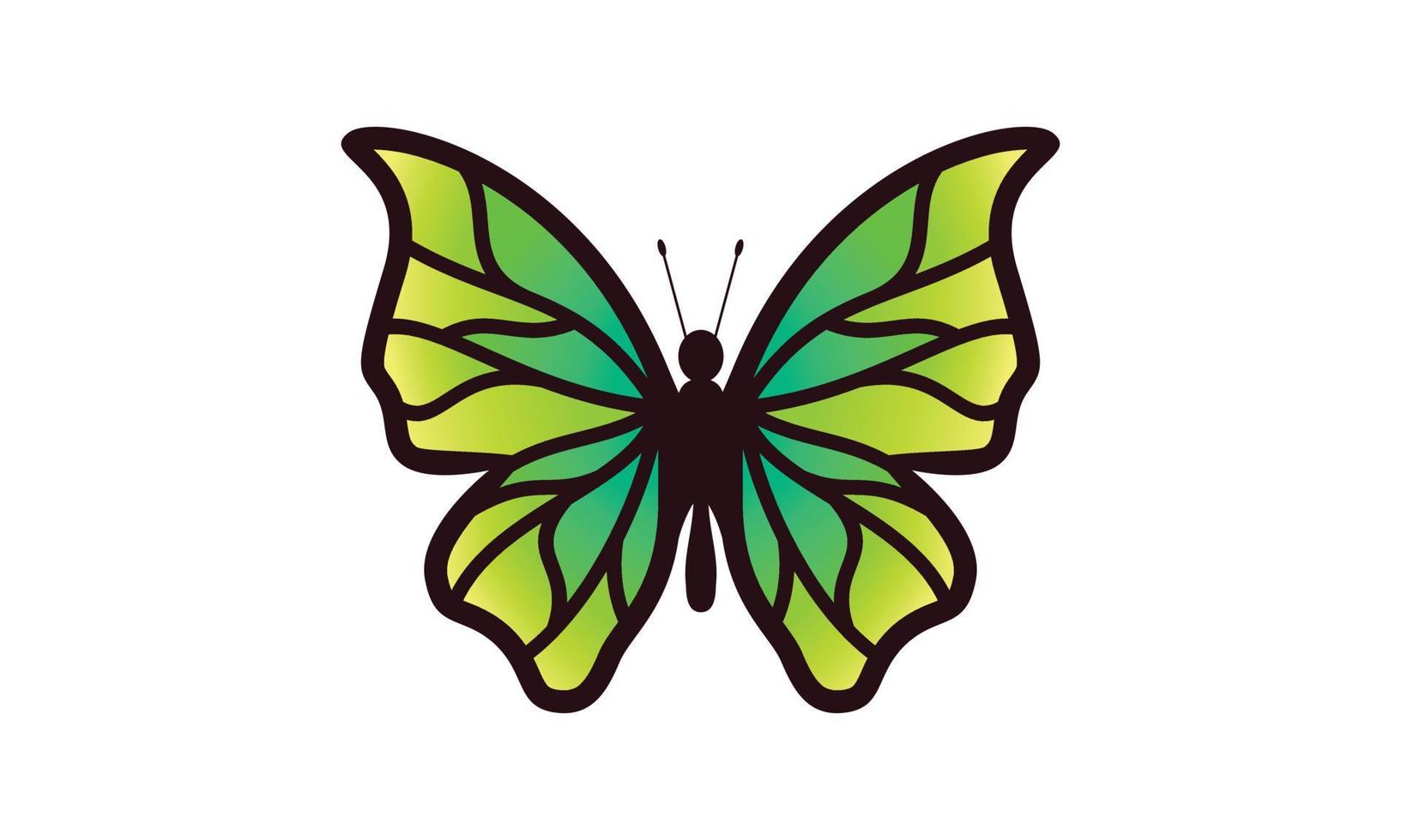 Beautiful color butterfly logo vector art illustration