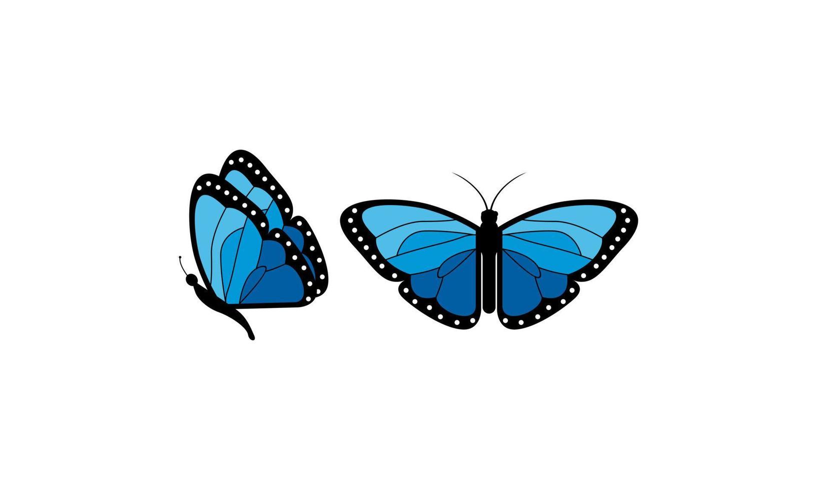 Beautiful color butterfly logo vector art illustration