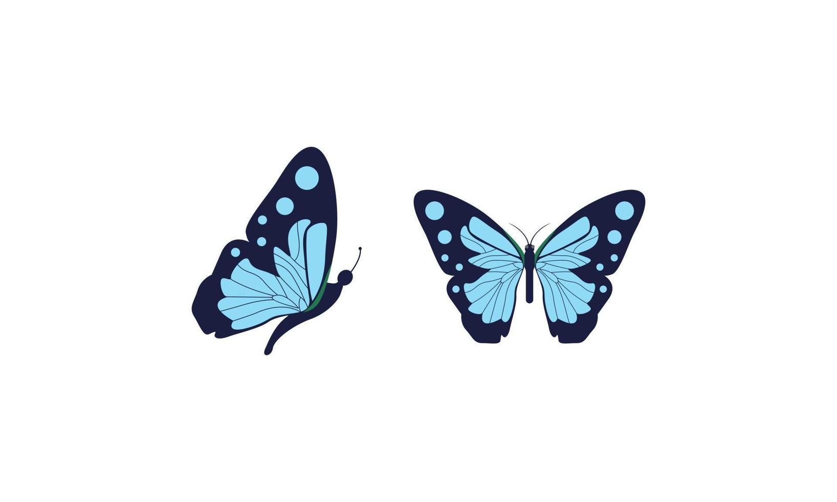 Beautiful color butterfly logo vector art illustration