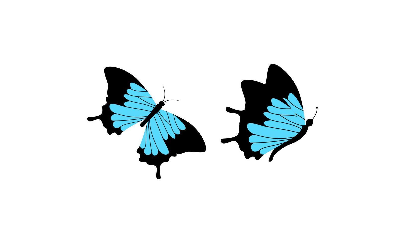 Beautiful color butterfly logo vector art illustration