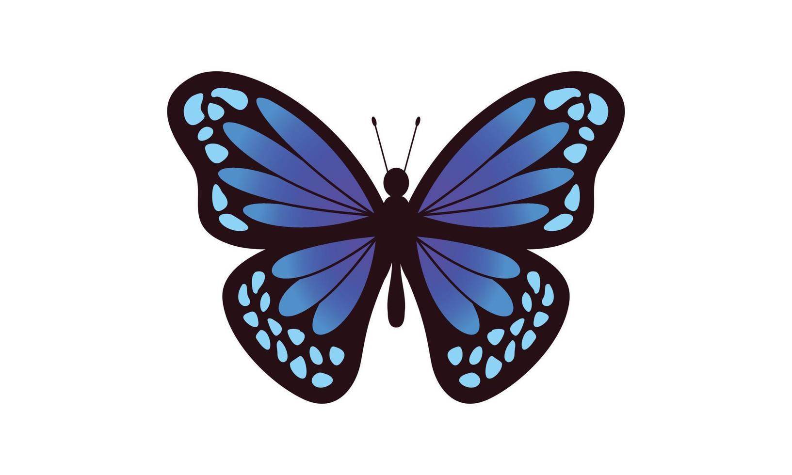 Beautiful color butterfly logo vector art illustration